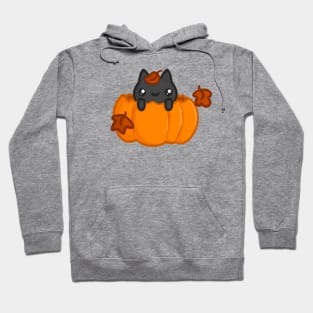 Autumn Kitten Hoodie